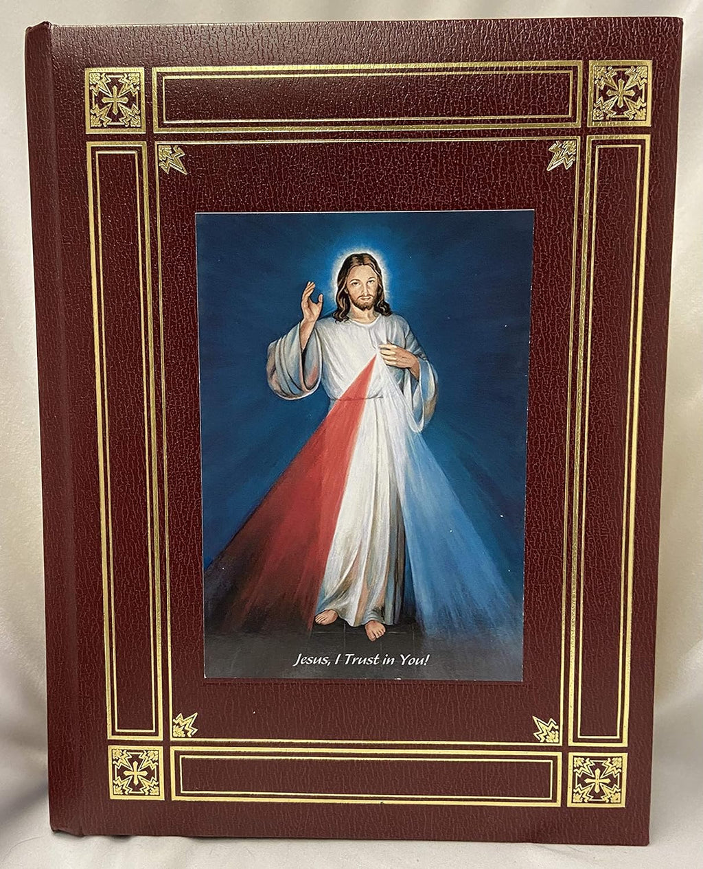Catholic Family Bible V429