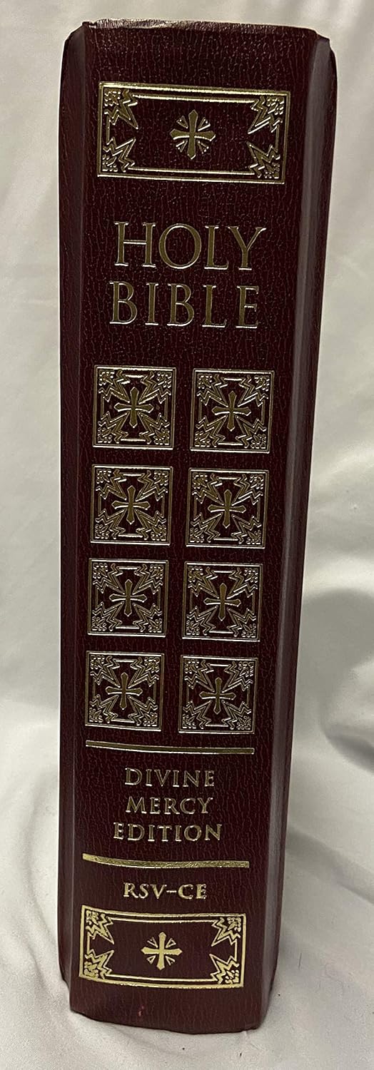 Catholic Family Bible V429