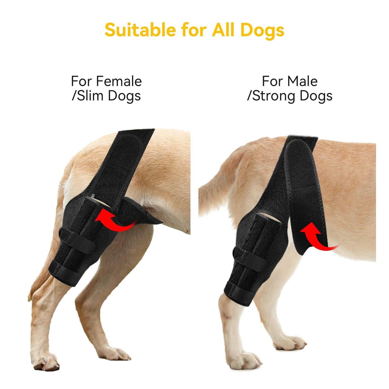 Dog Knee Brace for ACL with Cruciate Ligament Injury F7290
