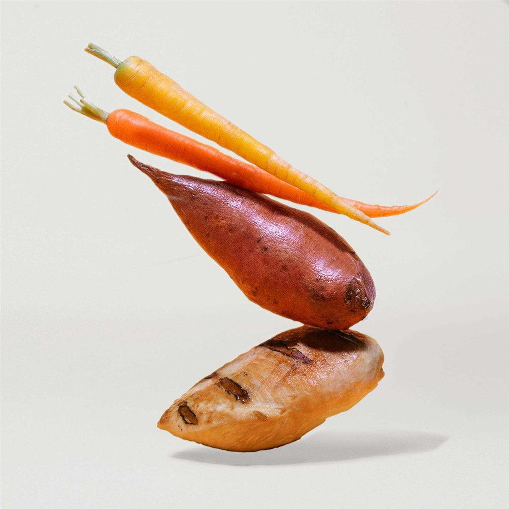 Sweet Potato & Carrot Dry Dog Food D442