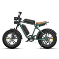 750W 20 Fatbike E-Mountainbike Y869