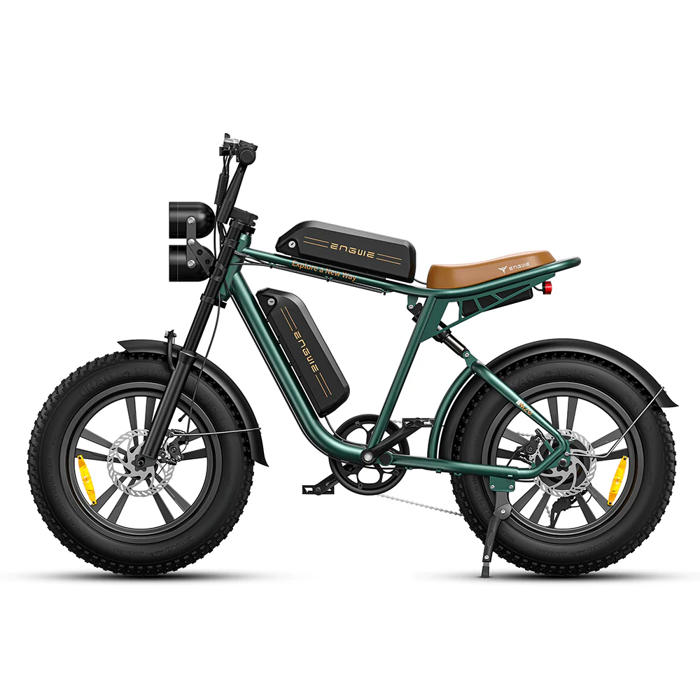 750W 20 Fatbike E-Mountainbike Y869