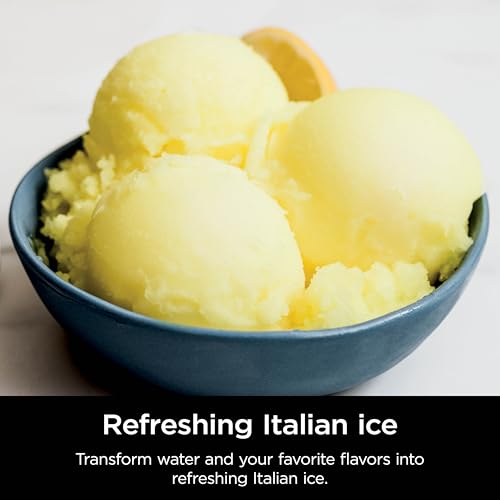 11-in-1 Ice Cream & Frozen Treat Maker with 2 XL Family Size Pint Containers, Silver L79840