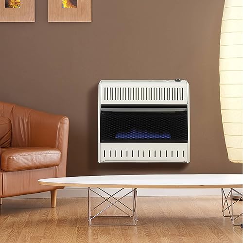 30,000 BTU Liquid Propane Blue Flame Heater W6536