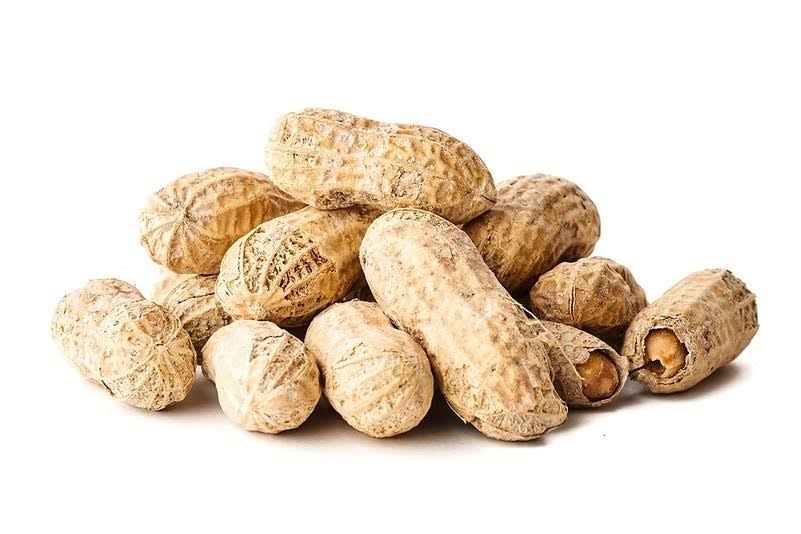 Salted Roasted Peanuts in Shell 25 Pounds T89961