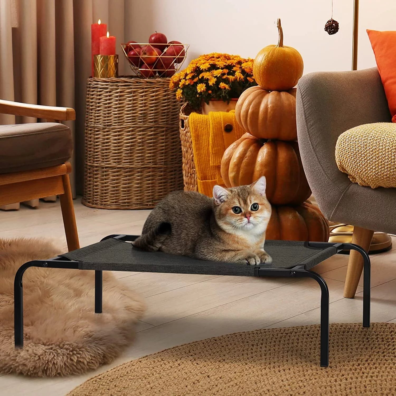 Elevated Pet Bed Raised Cat Cot Cooling Dog Bed Waterproof Chew Proof W185472