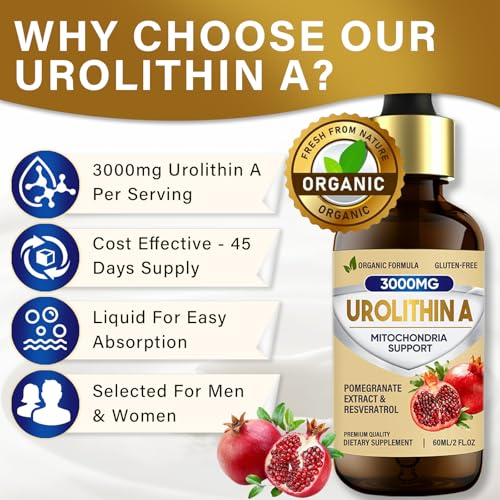 90 Softgels Urolithin A Supplement 1000mg W42181