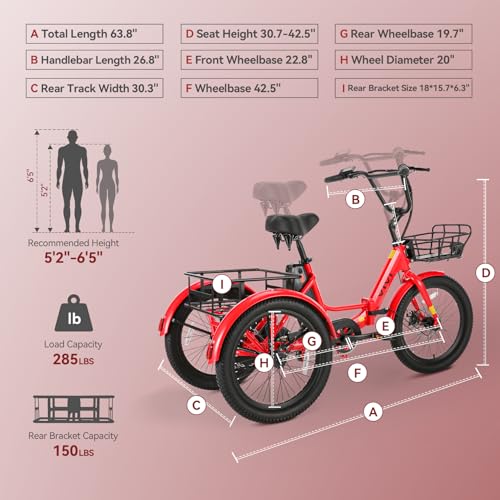 20" x2.6 Fat Tire Electric Tricycle Q937