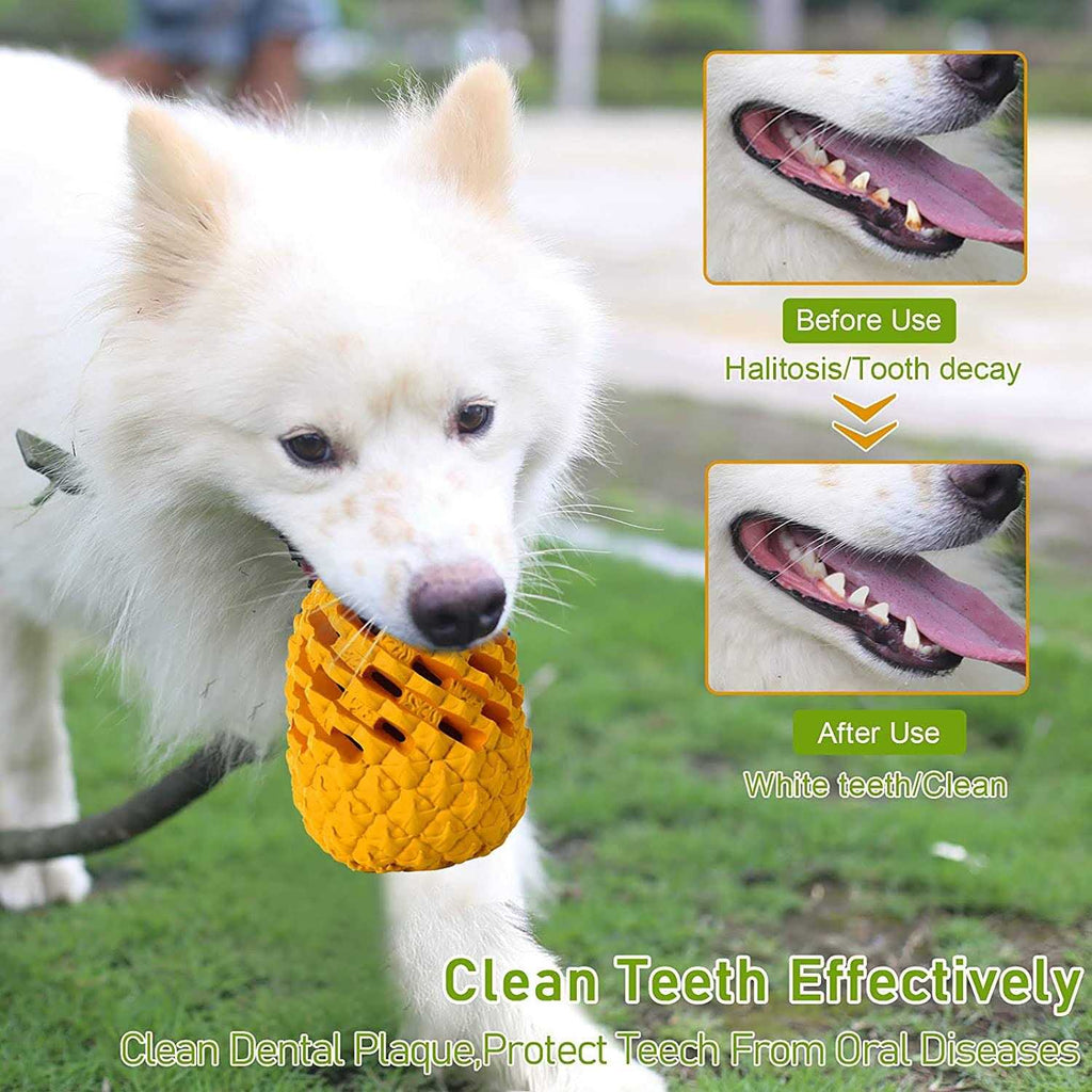 Dog Chew Toys A662675