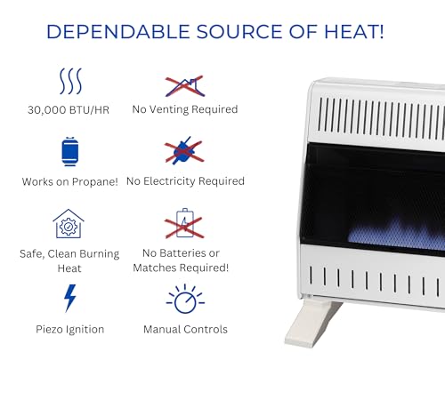 30,000 BTU Liquid Propane Blue Flame Heater W6536