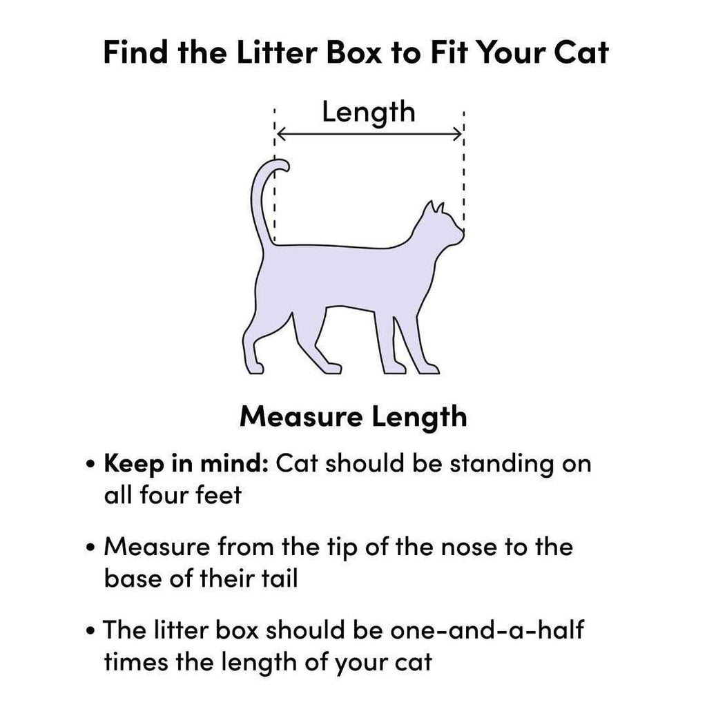 Cat Litter Pan O266849