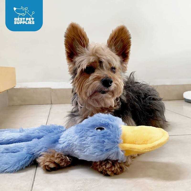 Crinkle Dog Toy No Stuffing Duck with Soft Squeaker F6710