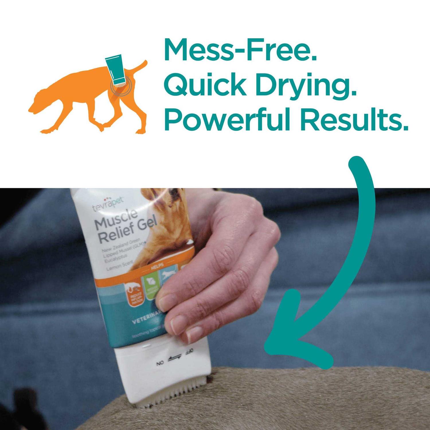 Muscle Relief for Dogs 3 oz E916