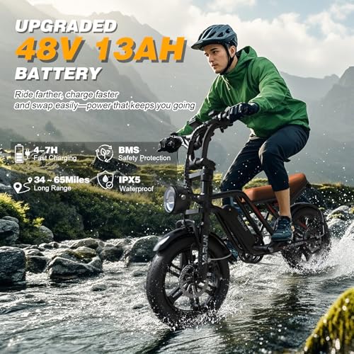 Electric Bike 750W 48V 13Ah Battery 20" Fat Tire U214