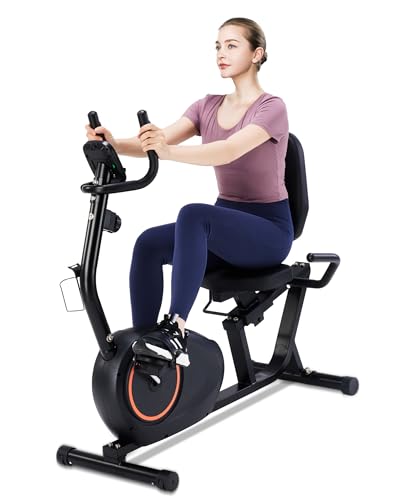 Recumbent Exercise Bike with 400LB Weight Capacity, Pulse Sensor, 16-level Resistance, LCD Monitor S2693