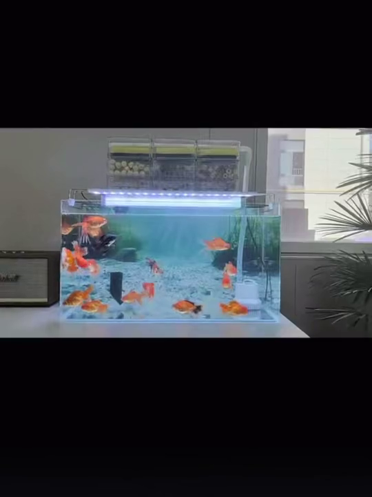 3D Aquarium Background Sticker J44754