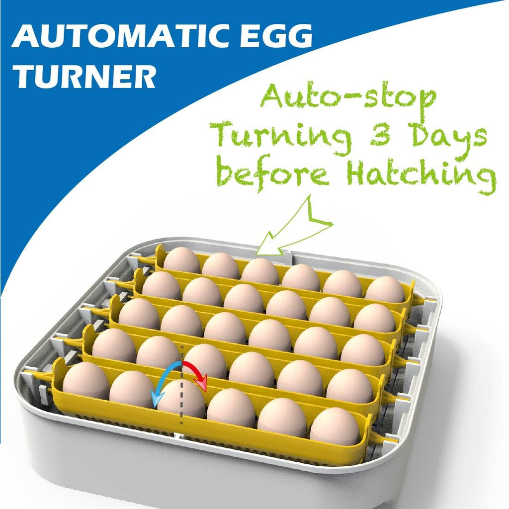 30 Egg Incubator with Humidity Display, Automatic Egg Turner I323