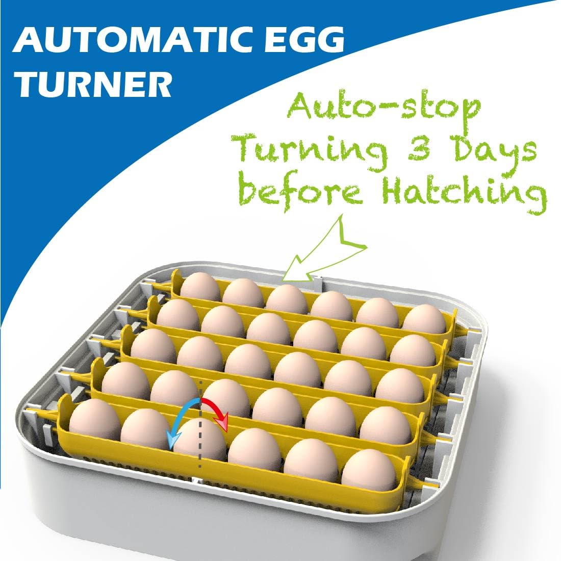30 Egg Incubator with Humidity Display, Automatic Egg Turner I323