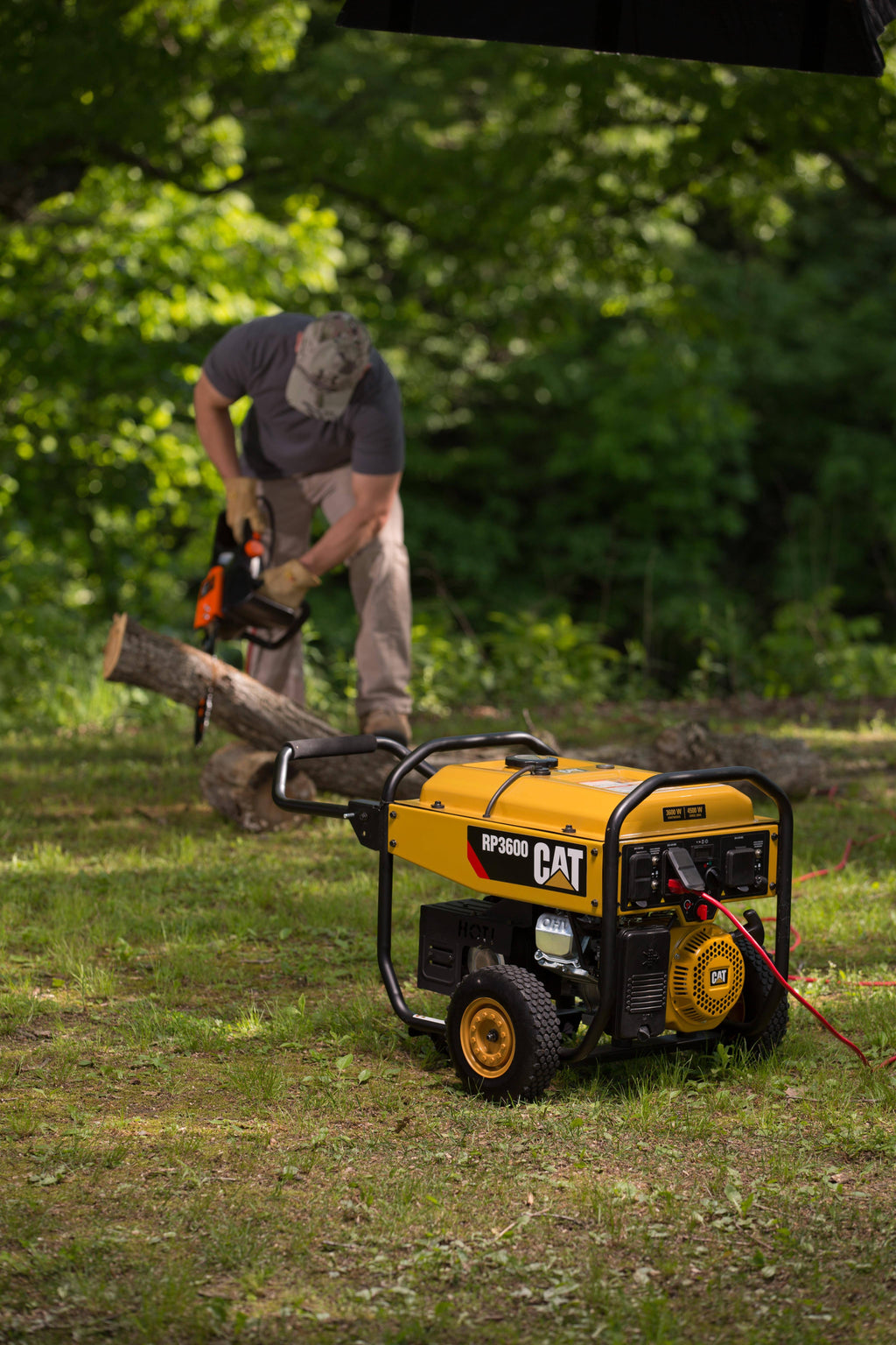 Portable Generator X925