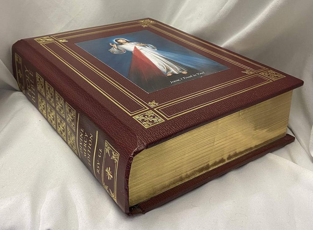 Catholic Family Bible V429