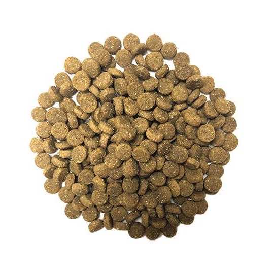 Ancient Grains with Ocean Fish Dog Food H743