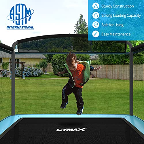 6FT Toddler Trampoline with Swing & Enclosure Safety Net R4638