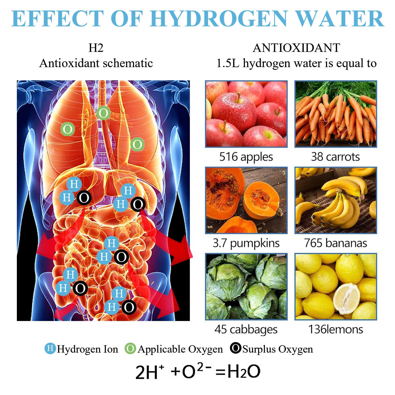 1.5L Hydrogen Water Bottle M51436