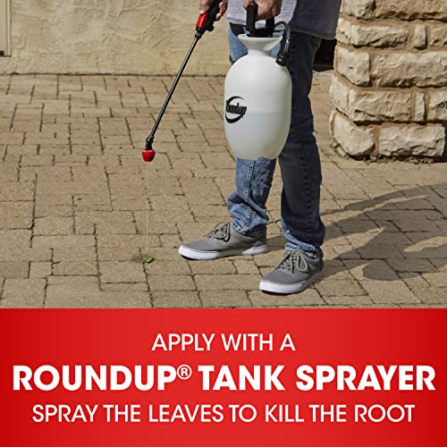 64 oz Weed and Grass Killer with Easy Measure Cap C8592