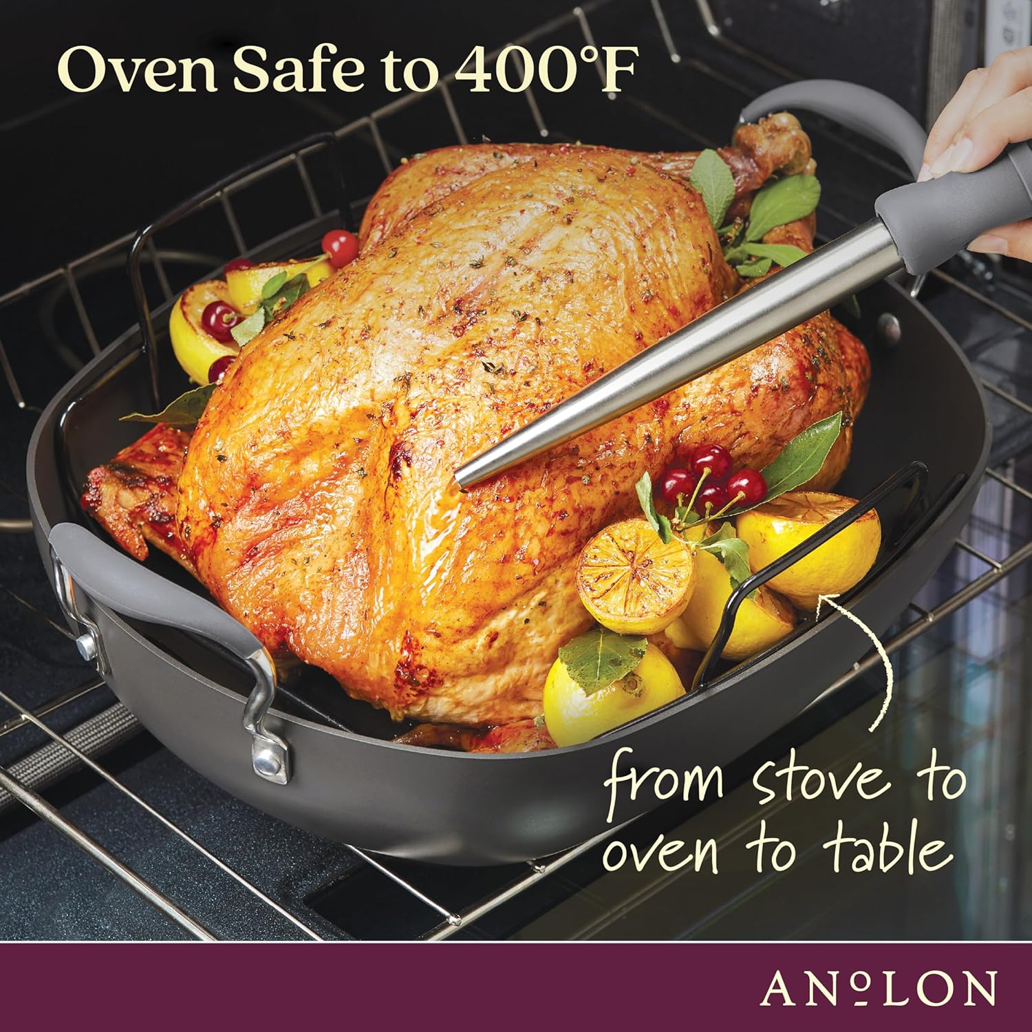 16 Inch x 13 Inch Hard Anodized Nonstick Roasting Pan with Rack Q66130