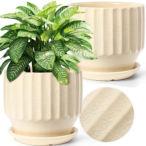 6 inch Set of 2 Ceramic Plant Pots with Drainage Hole and Saucer, Creamy White I81772