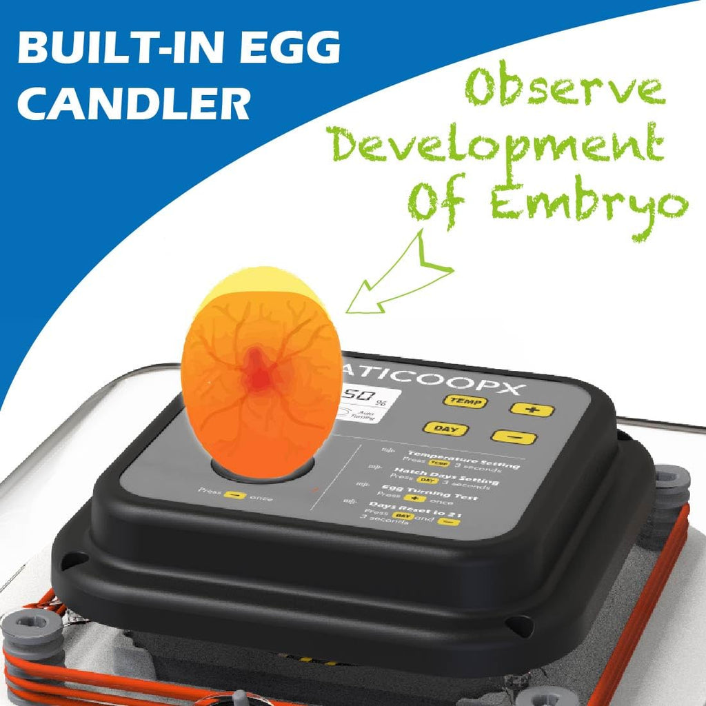 30 Egg Incubator with Humidity Display, Automatic Egg Turner I323