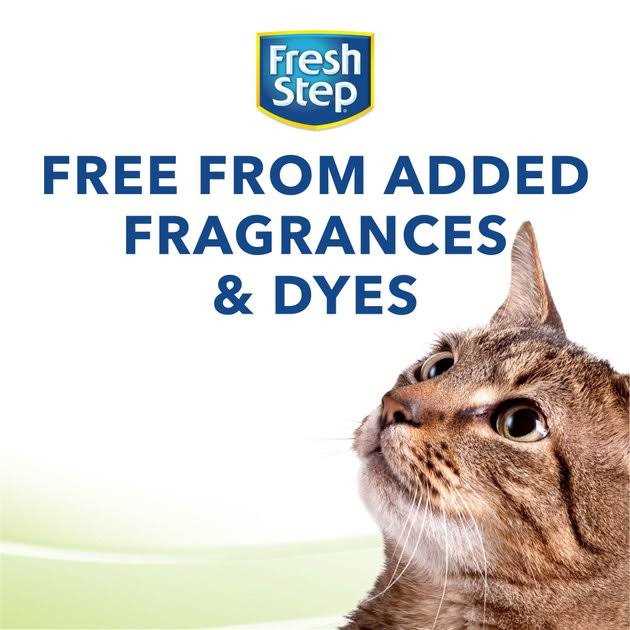 Clean Paws Unscented Clumping Cat Litter O83297