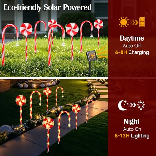 8 Pack Solar Candy Cane Pathway Lights C5614