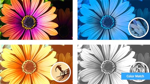 Photoshop Elements 2024 & Premiere Elements 2024 PC Code Software V249