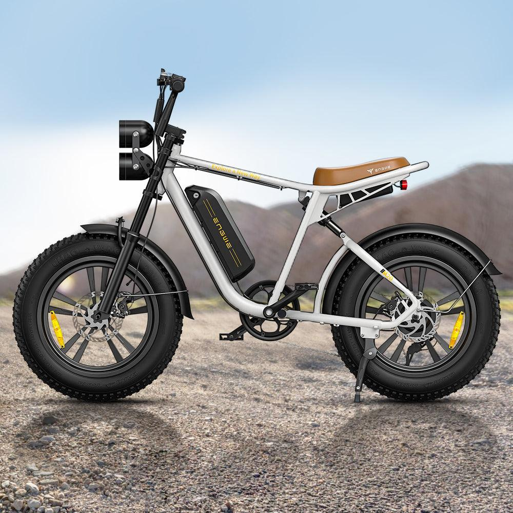 750W 20 Fatbike E-Mountainbike Y869