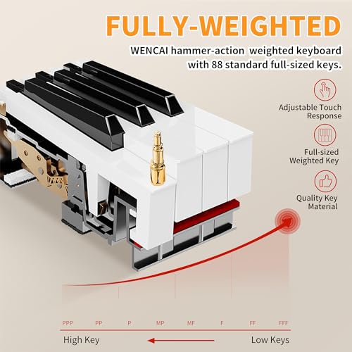 88 Key Fully Weighted Hammer Action Digital Piano Black F8738