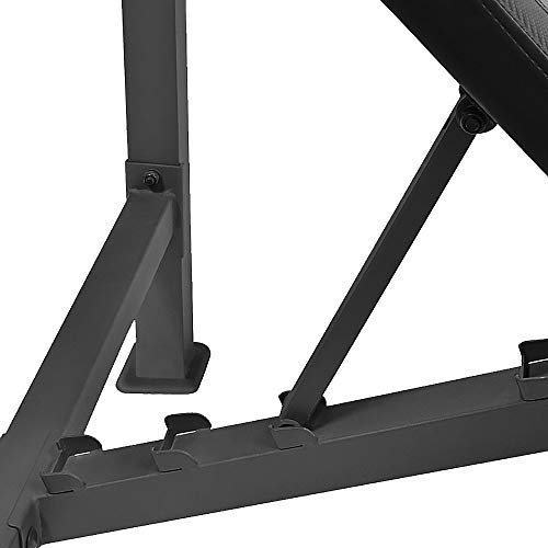 Olympic Weight Bench with Preacher Curl Pad and Leg Developer B488