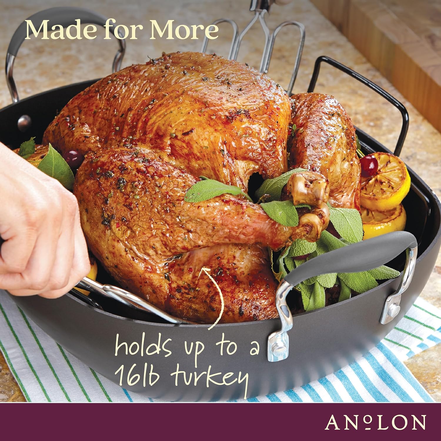 16 Inch x 13 Inch Hard Anodized Nonstick Roasting Pan with Rack Q66130