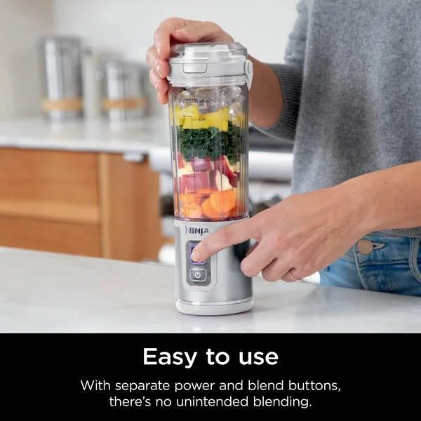 Portable Blender W484