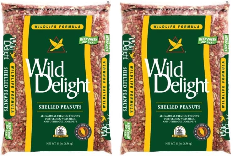 Shelled Peanuts, 10 lb I7716