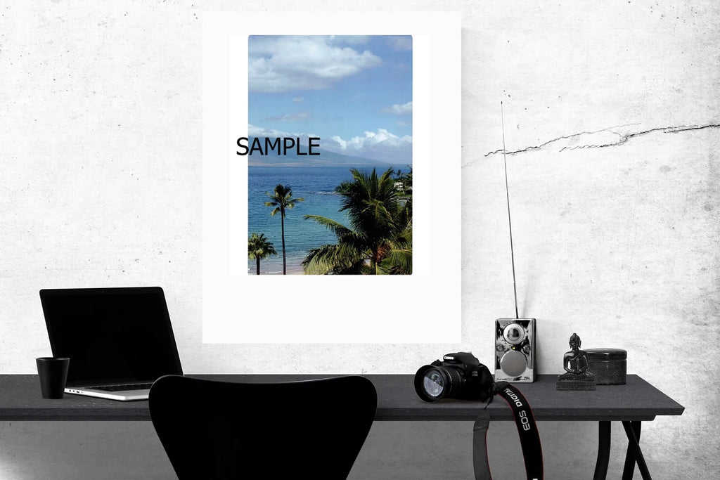 16x24 Unframed Poster S190202