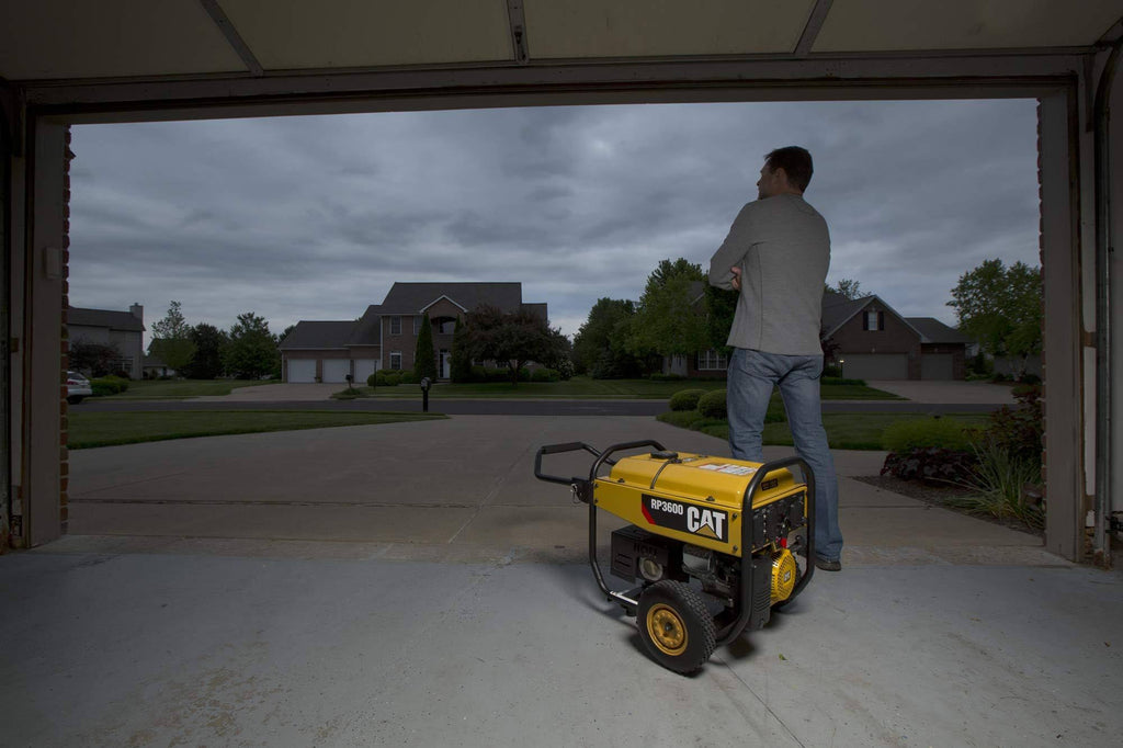 Portable Generator X925