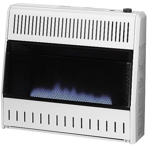 30,000 BTU Liquid Propane Blue Flame Heater W6536