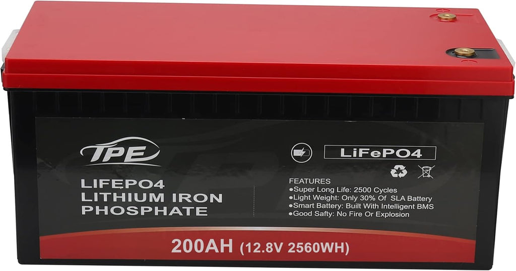 24V 100AH Rechargeable Deep Cycle Lithium Iron Phosphate Battery D555323