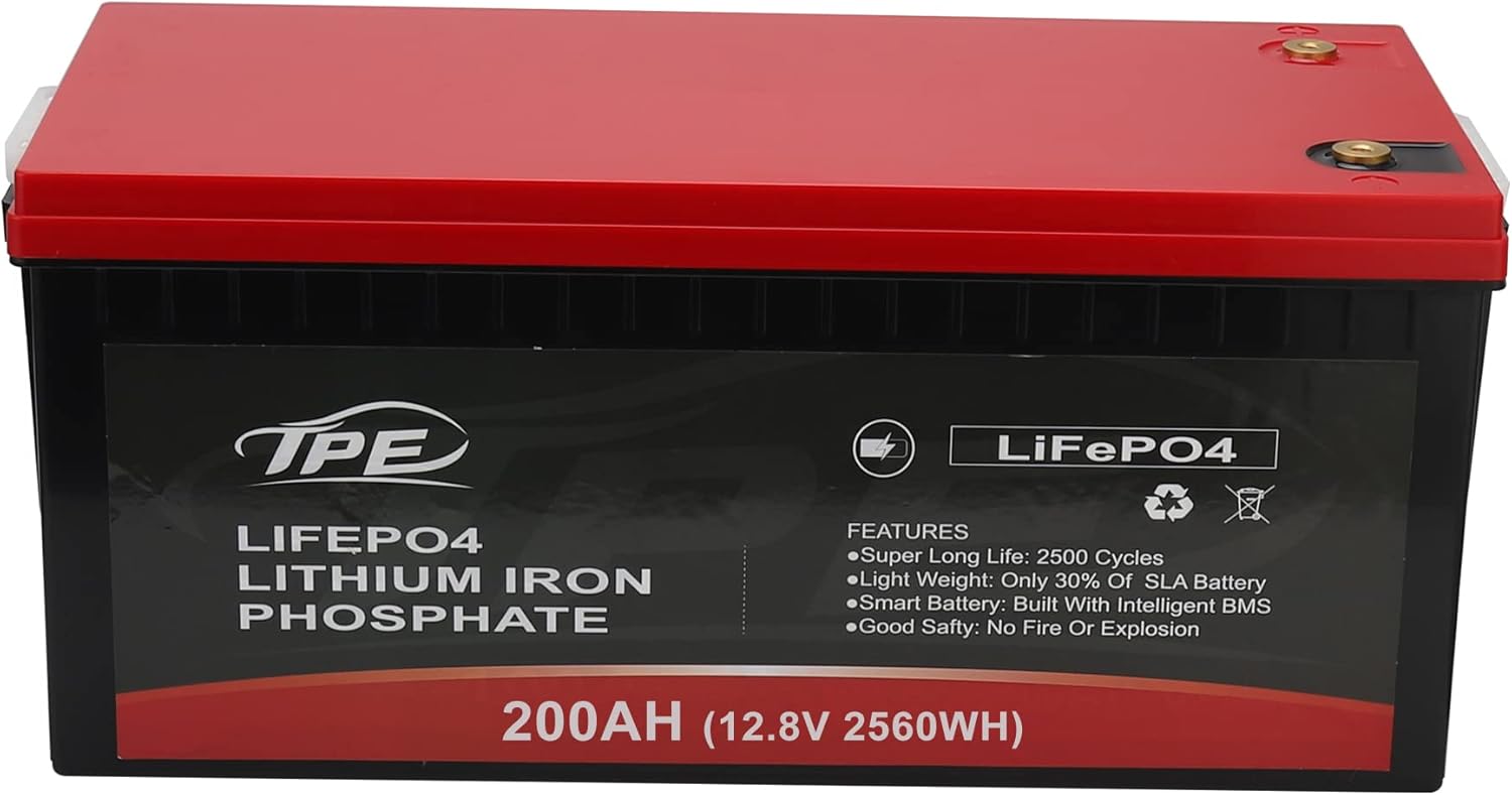 24V 100AH Rechargeable Deep Cycle Lithium Iron Phosphate Battery D555323