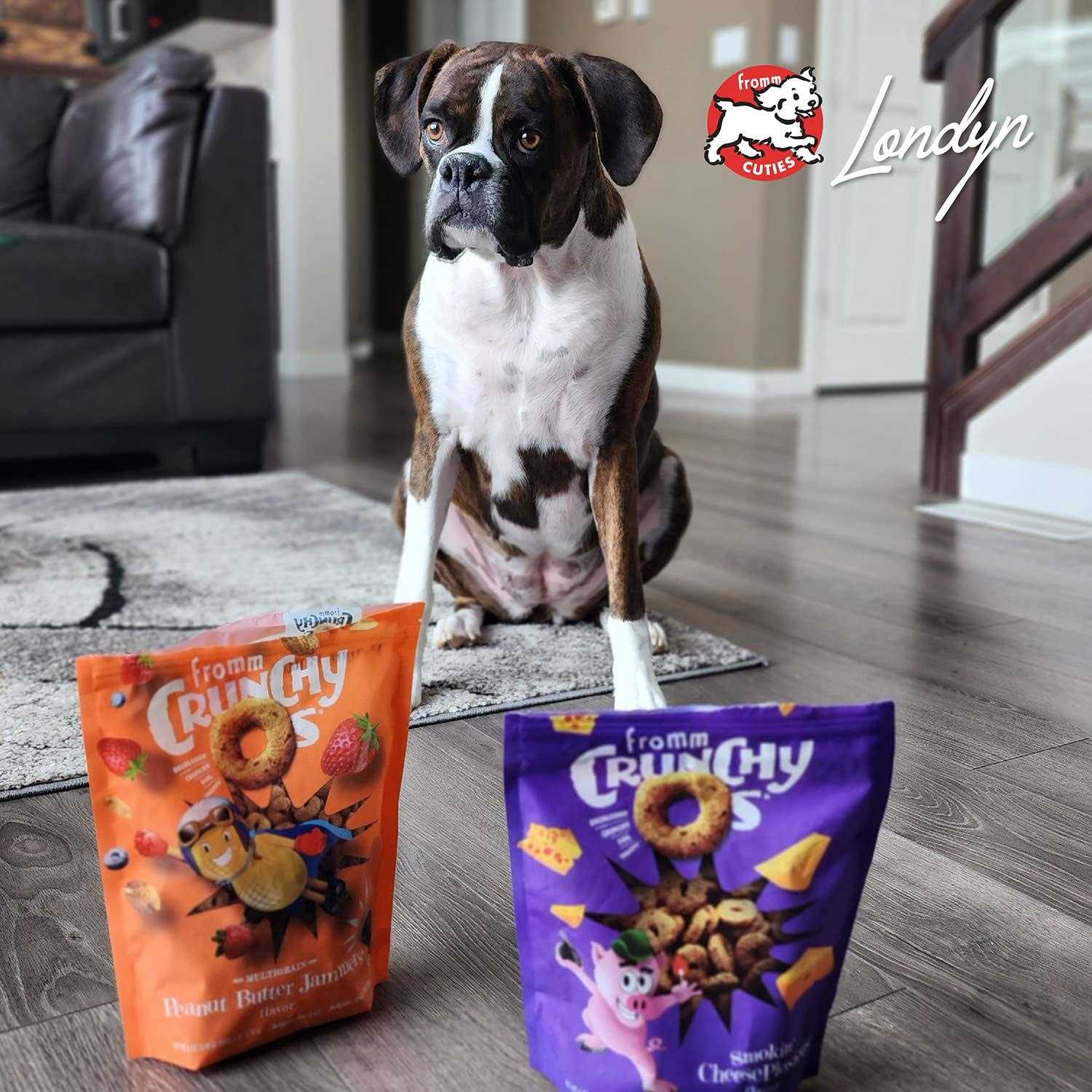 Crunchy O's Dog Treats N2442