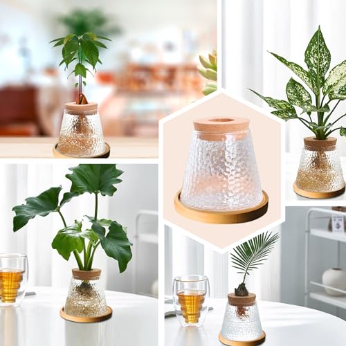 2 Pcs Separated Desktop Plant Terrarium with Wood Lid, Glass Plants Propagation Station P236