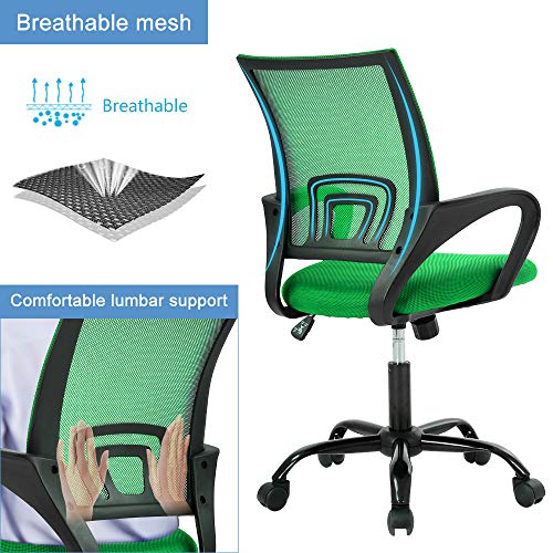 Black Mesh Ergonomic Office Chair with Lumbar Support F217