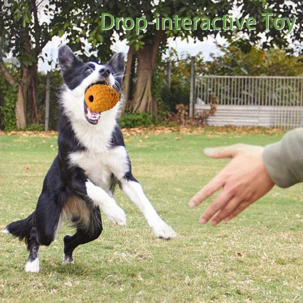 Dog Chew Toys A662675