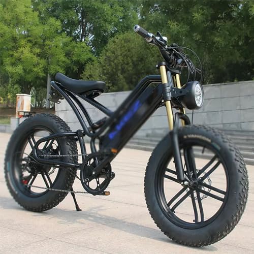Electric Bicycle Fat Tire Removeable Battery Ebike Y57631